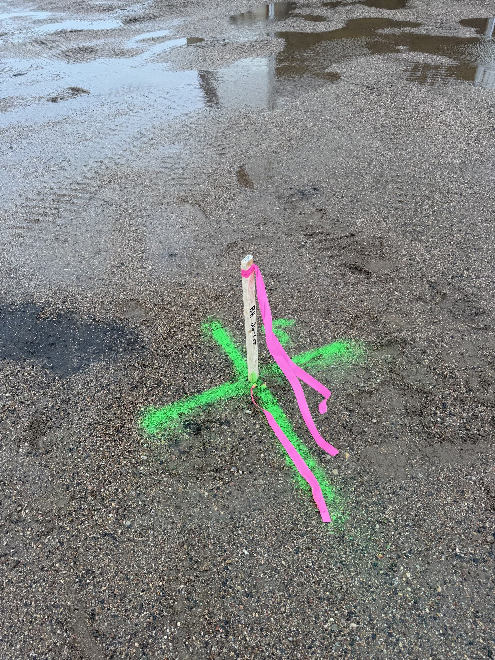 Borehole location stake with flagging and paint marks for a geotechnical investigation