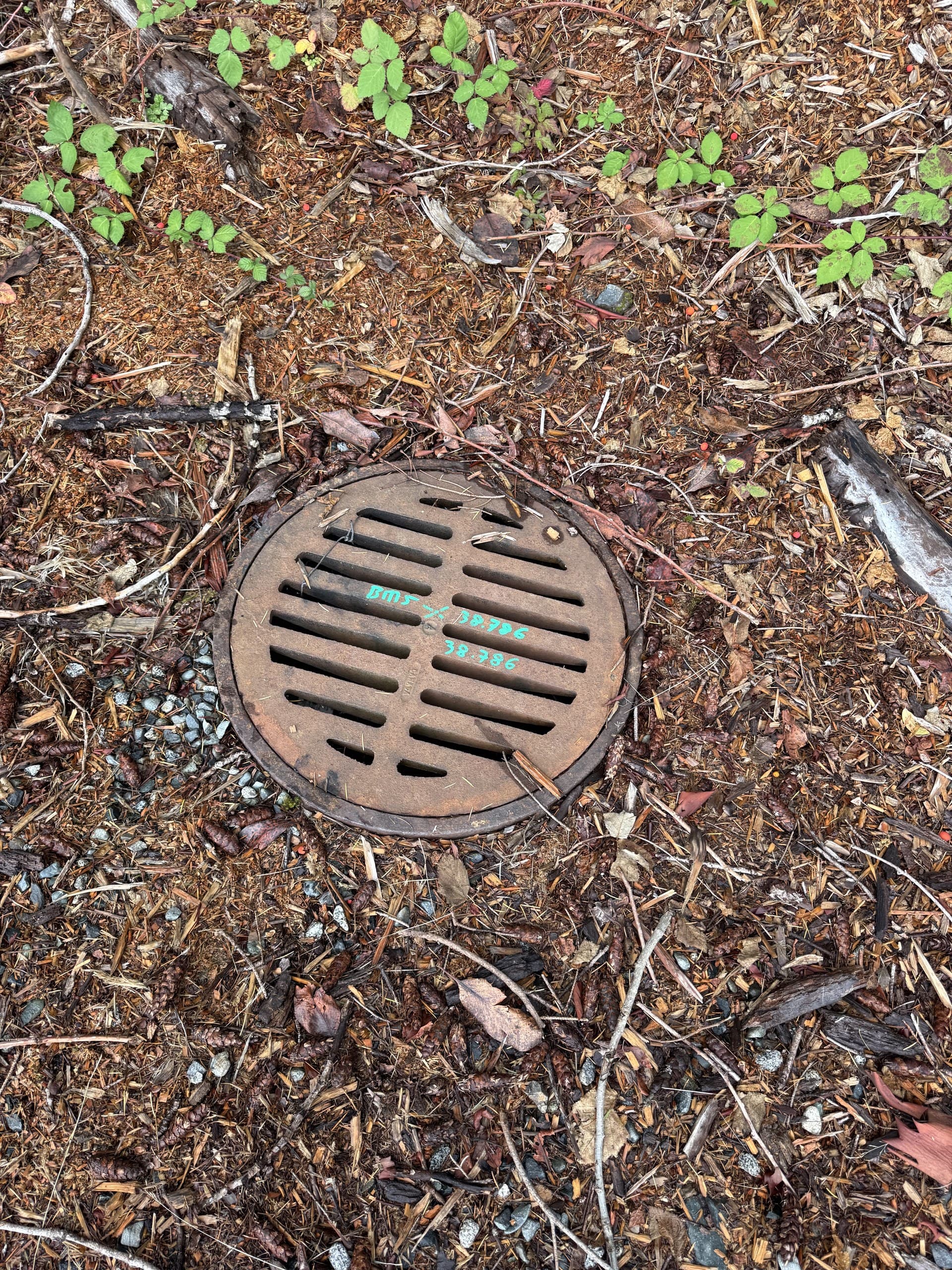 Catch basin grate with survey marks, picked up for a servicing as-built