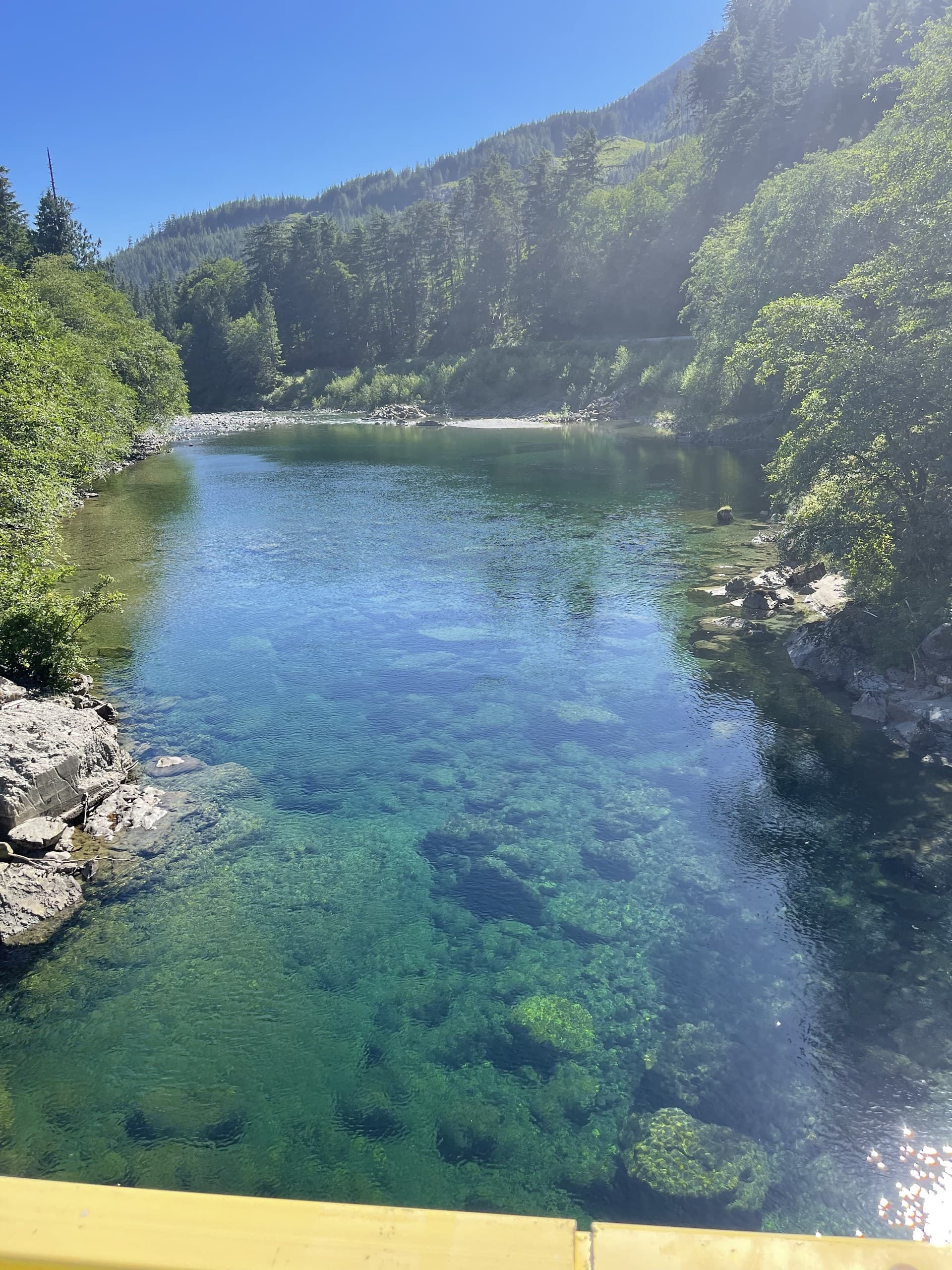 Clear emerald river pool between forested banks