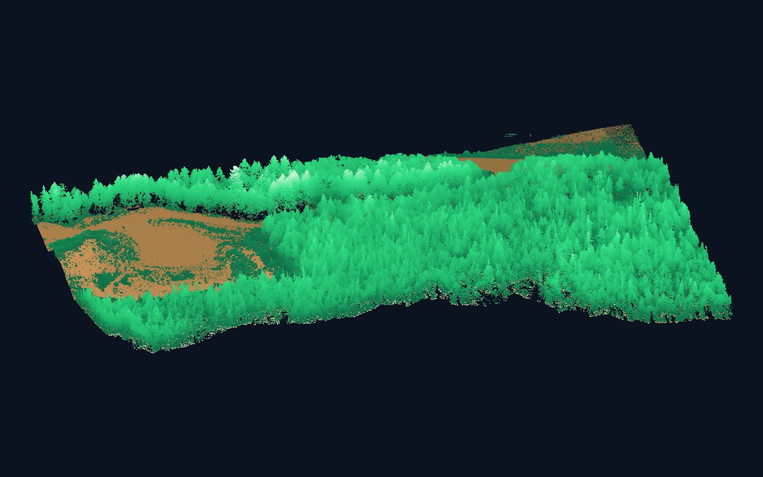 Classified LiDAR point cloud, oblique view, ground in tan and vegetation in green