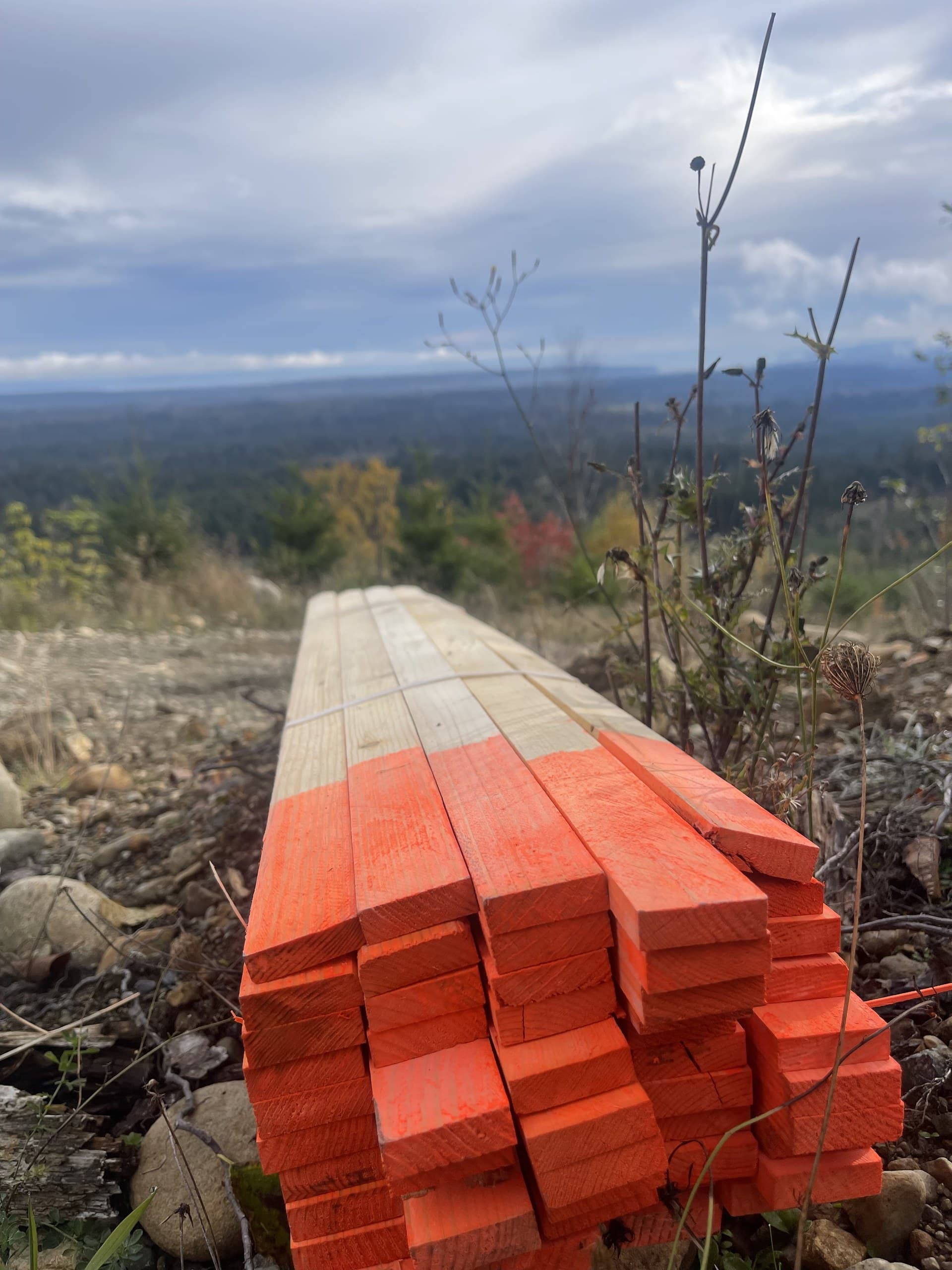 Bundle of orange-painted survey lath on a hillside overlooking forest and ocean