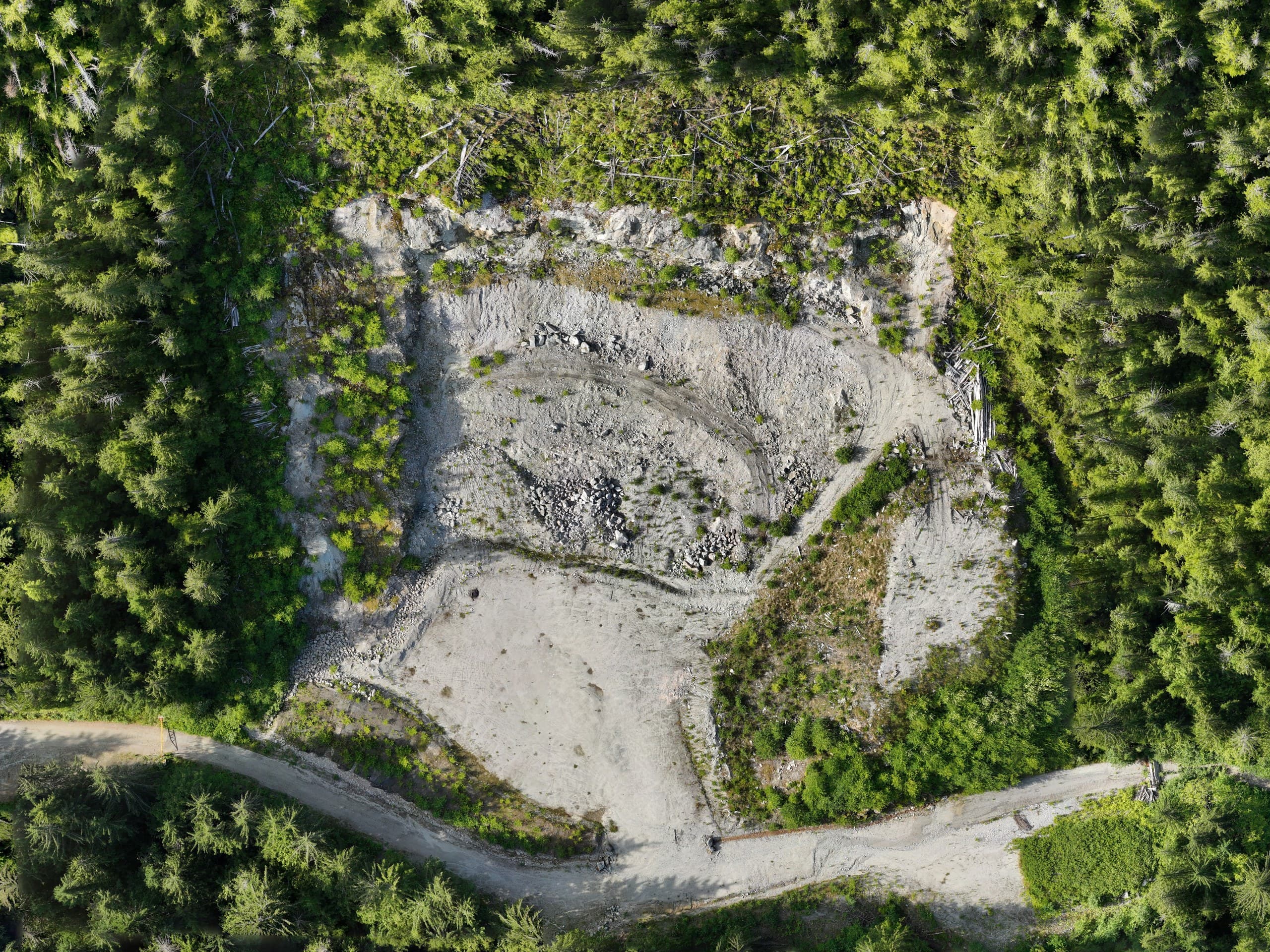 Orthophoto of a gravel pit and access road surrounded by forest