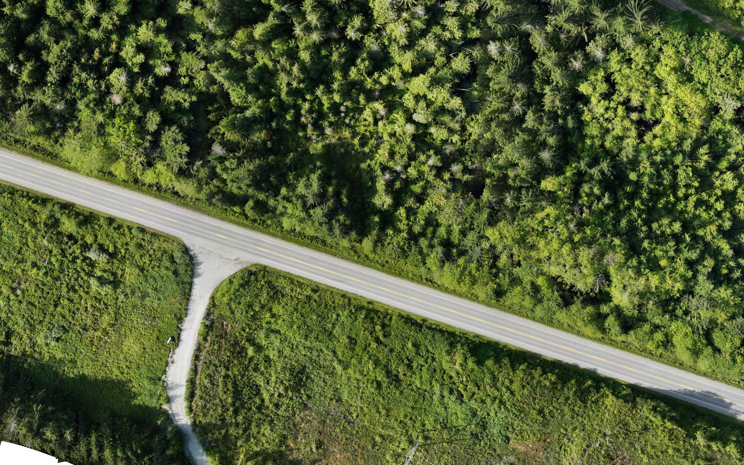 Drone orthophoto of a highway corridor and side road through coastal forest