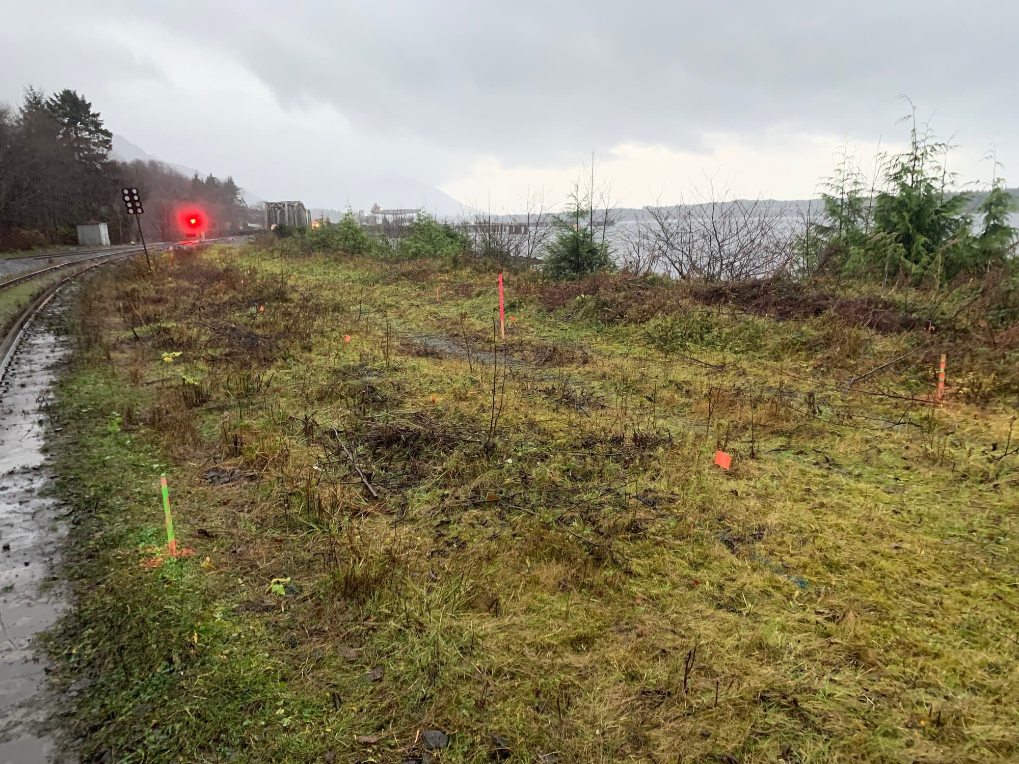 Survey stakes and flagging along a coastal rail corridor
