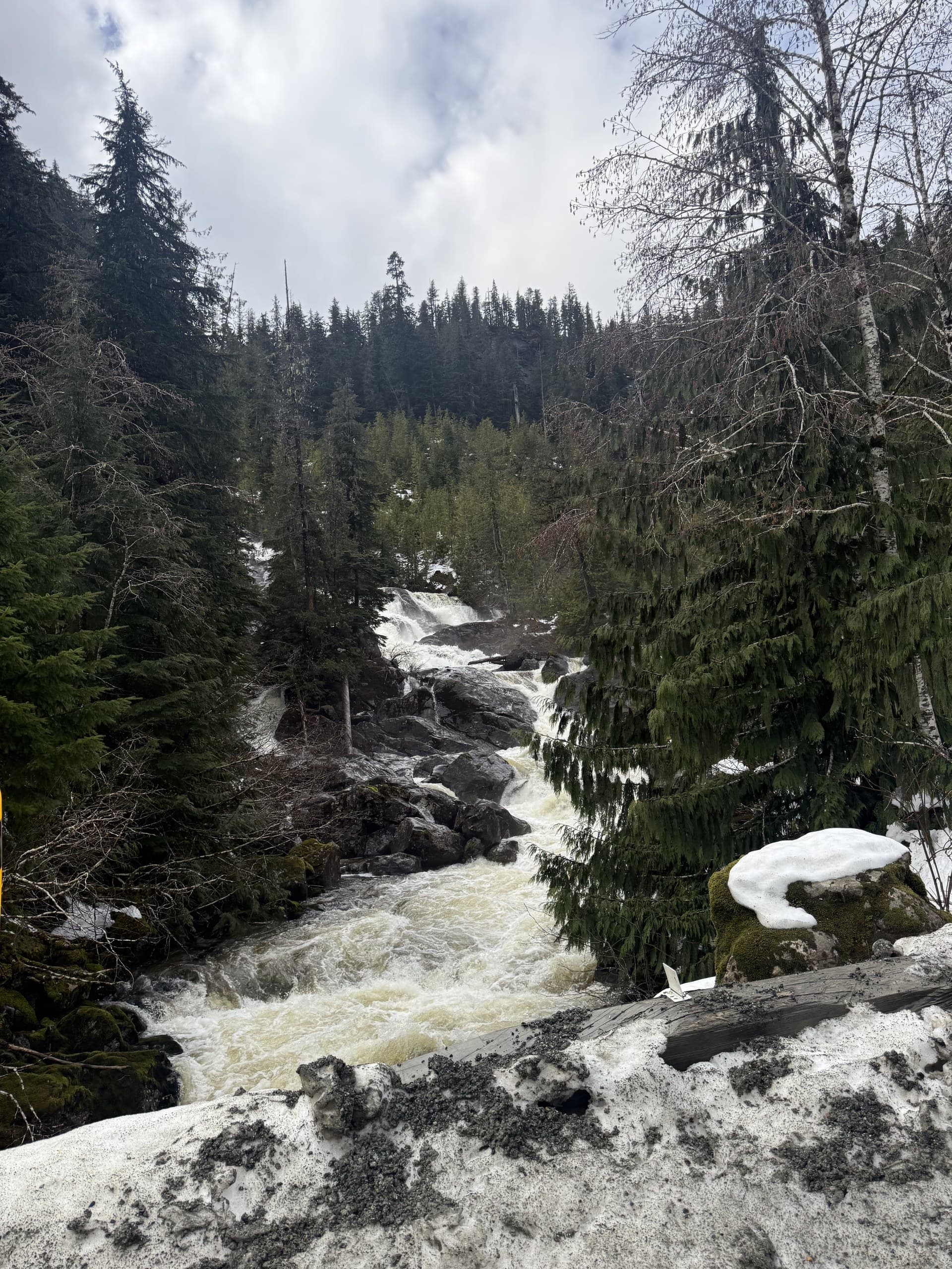 Snowmelt rapids cutting through Vancouver Island forest