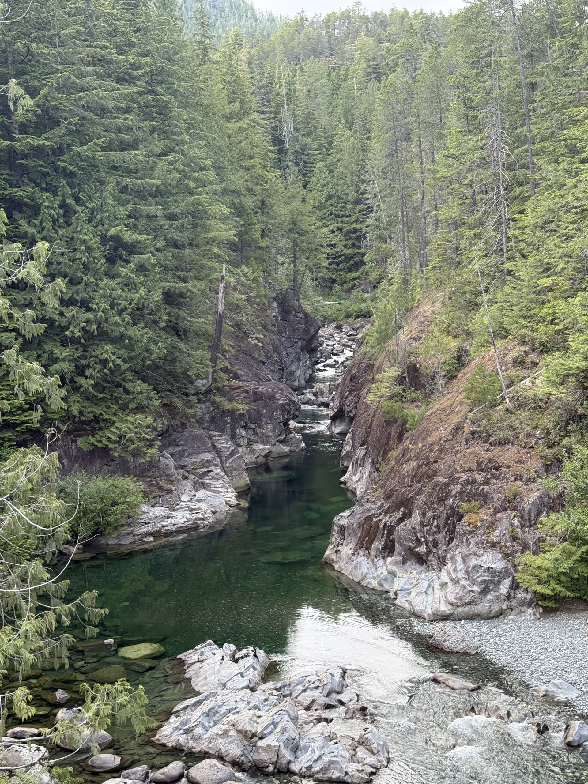 Creek falls dropping into an emerald pool through coastal forest