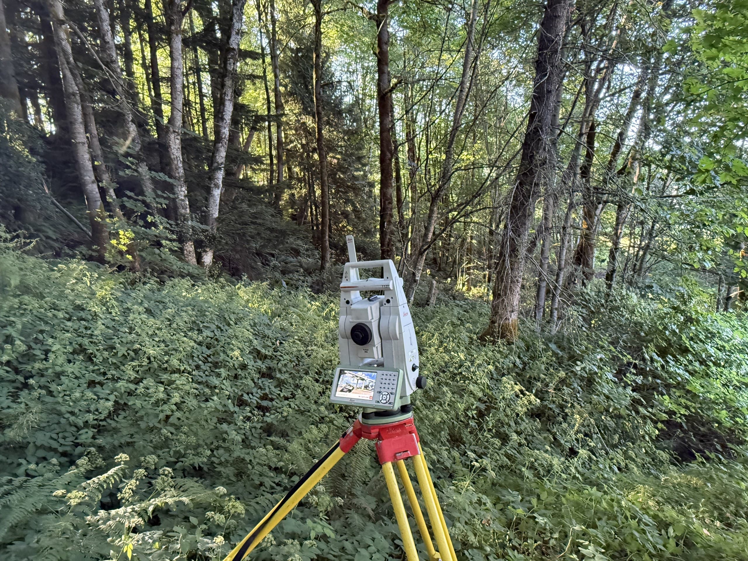 Robotic total station working beneath dense Vancouver Island forest canopy